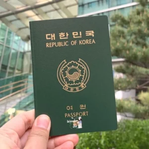 Fake Korean Passport