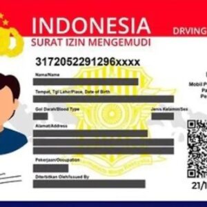 Buy Real Driving License of Indonesia