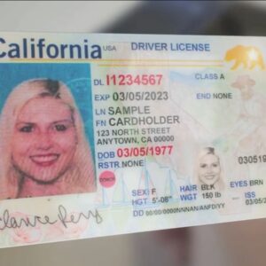 Buy Fake Californian Drivers License