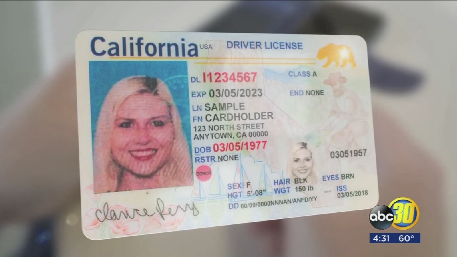 Buy Fake Californian Drivers License 1 Buy Fake Californian Drivers License