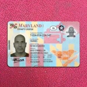 Buy Maryland Driver License and ID Cards