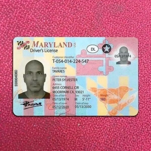 Buy Maryland Driver License and ID Cards 1 Buy Maryland Driver License and ID Cards
