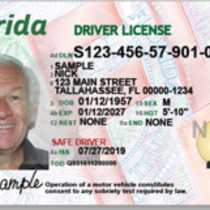 Florida Driving License