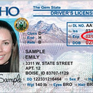 Buy Idaho Driver License and ID Cards
