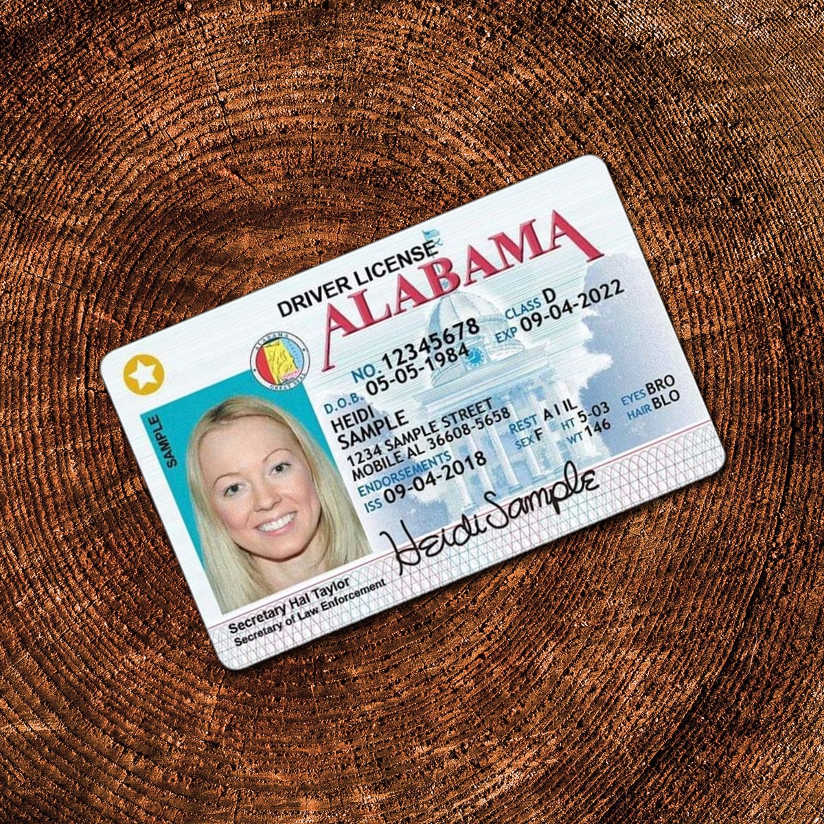 Buy Alabama Driver License and ID Cards 1 Buy Alabama Driver License and ID Cards