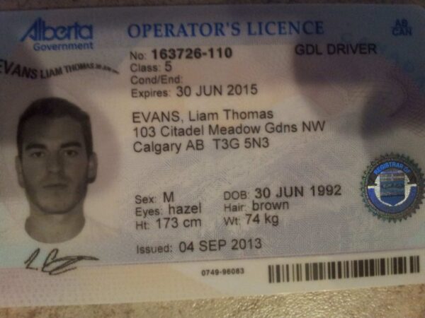Buy Alberta Driving Licenses and ID Cards 1 Buy Alberta Driving Licenses and ID Cards