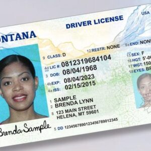 Buy Montana Driver License and ID Cards