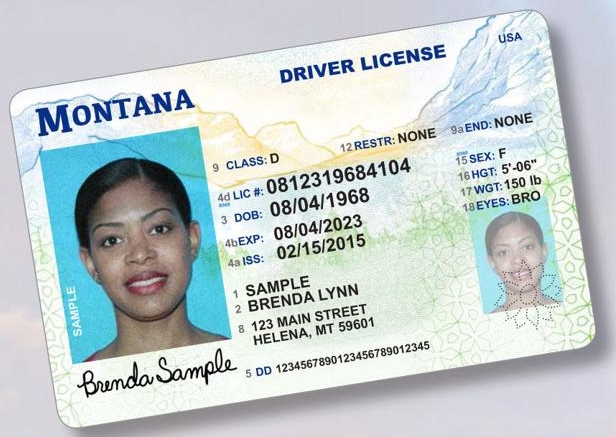 Buy Montana Driver License and ID Cards 1 Buy Montana Driver License and ID Cards