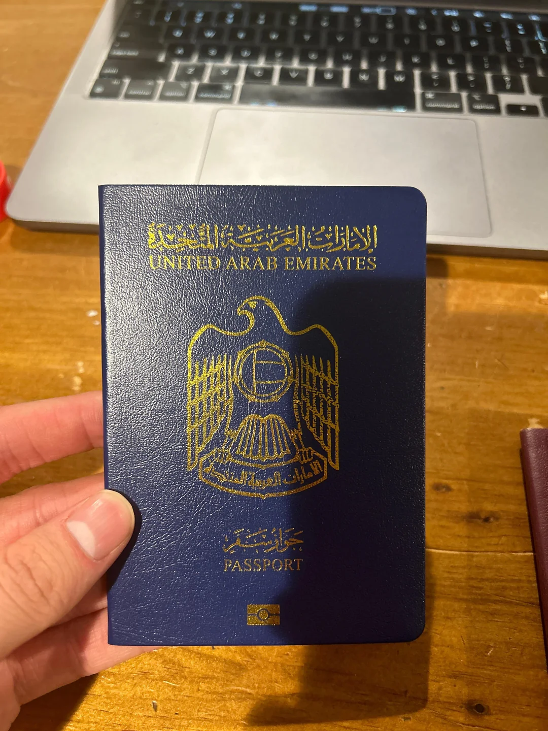 Buy Real Passport of United Arab Emirates 1 Buy Real Passport of United Arab Emirates