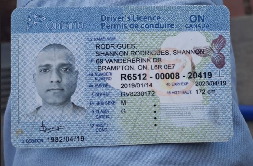 Buy Real Driving License of Canada 1 Buy Real Driving License of Canada