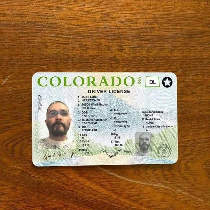 Buy Colorado Driver License and ID Cards 1 Colorado-Drivers-License-105467914