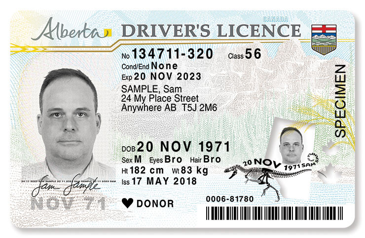 Buy Fake Canadian drivers license online 1 Buy Fake Canadian drivers license online