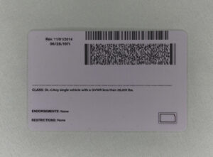 Buy Kentucky Driver License and ID Cards 2 DRIVER LICENSE Kansas back scaled 1024x754 3401652903