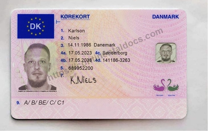 Buy Real Driving License of Denmark 1 Buy Real Driving License of Denmark