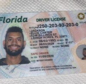 Buy Florida Driver License and ID Cards