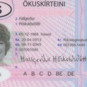 Buy Fake Driver’s License of Iceland