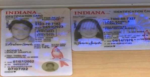 Buy Indiana Driver License and ID Cards 1 Buy Indiana Driver License and ID Cards