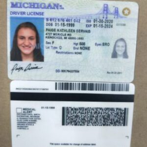 Buy Michigan Driver License and ID Cards