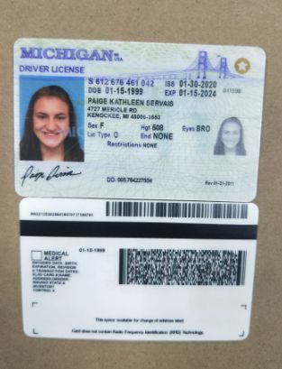 Buy Michigan Driver License and ID Cards 1 Buy Michigan Driver License and ID Cards