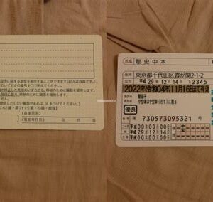 Japan Fake Driver’s License for Sale
