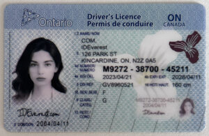 Ontario 1 244599345
