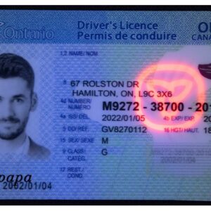 Buy Ontario Driver License and ID Cards