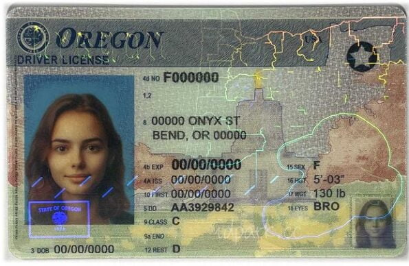 Buy Oregon Driver License and ID Cards 1 Buy Oregon Driver License and ID Cards