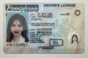 Buy Pennsylvania Driver License and ID Cards 2 PENNSYLVANIA2025 1 1415328636