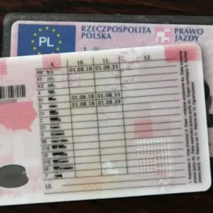 Buy Fake Driver’s License of Poland