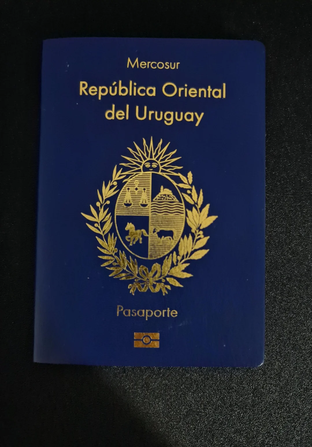 Buy Real Passport of Uruguay 1 Buy Real Passport of Uruguay