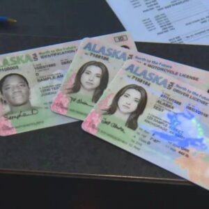 Buy Alaska Driver License and ID Cards