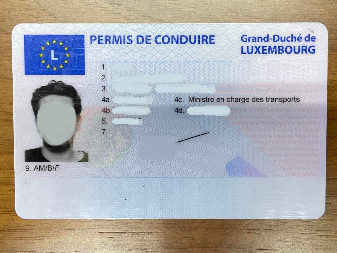 Buy Real Driving License of Luxembourg 1 Buy Real Driving License of Luxembourg