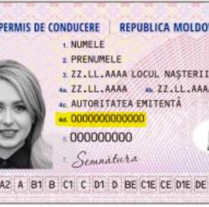 Buy Real Driving License of Moldova