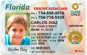 florida kid id card hb 3128461058