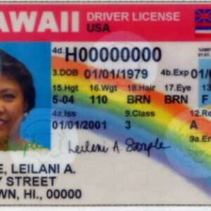 Buy Hawaii Driver License and ID Cards