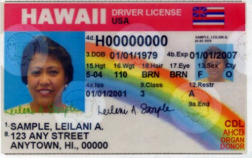Buy Hawaii Driver License and ID Cards 1 Buy Hawaii Driver License and ID Cards