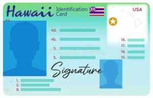 Buy Hawaii Driver License and ID Cards 2 hawaii identification card vector illustration id card design hawaii identification card vector illustration id card design 394853035 1988716410
