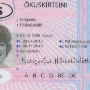 Buy Real Driving License of Iceland