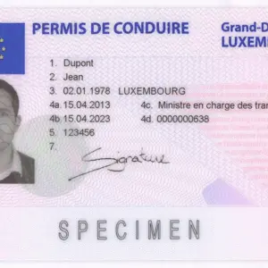 Buy Fake Driver’s License of Luxembourg