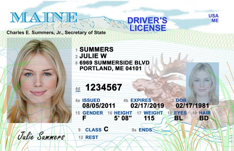 Buy Maine Driver License and ID Cards 1 Buy Maine Driver License and ID Cards