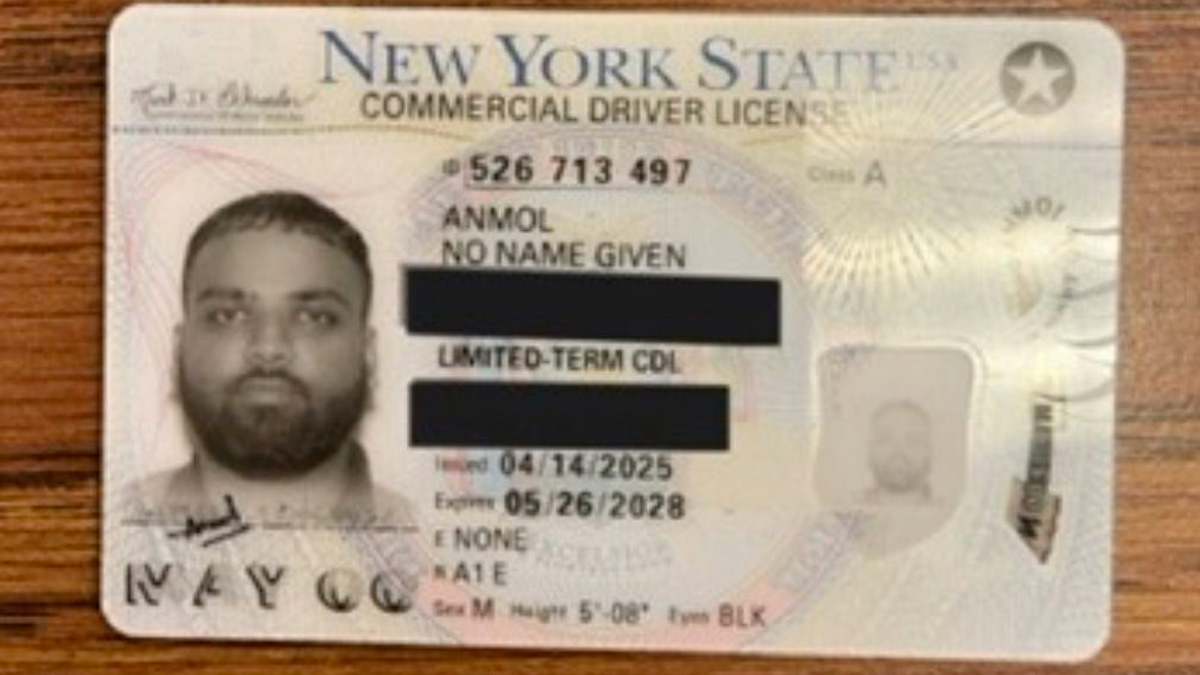 Buy New York Driver License and ID Cards 1 Buy New York Driver License and ID Cards