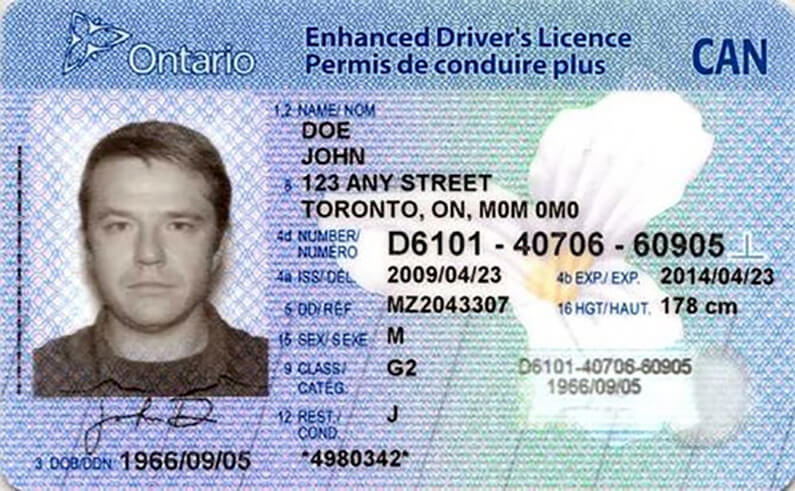 Canada Fake Driver’s License for Sale 1 ontario-drivers-licence-2346560904