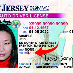 Buy Nevada Driver License Licenses and ID Cards